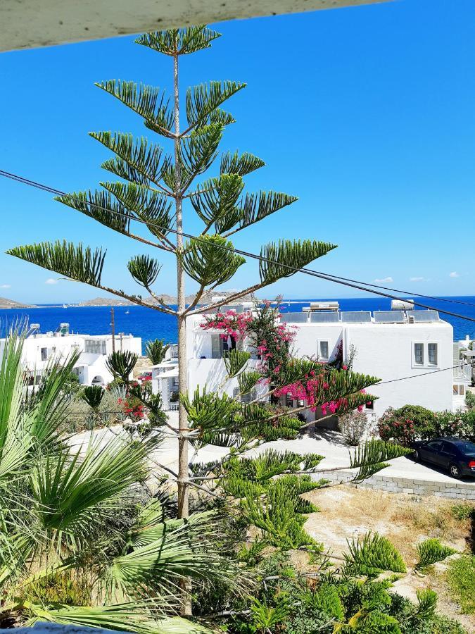 Fotilia Hotel ناوسا المظهر الخارجي الصورة